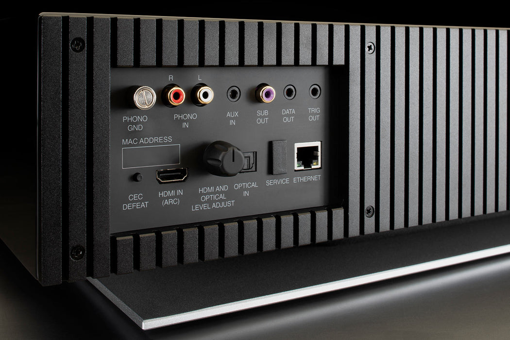 McIntosh RS250 panneau branchements