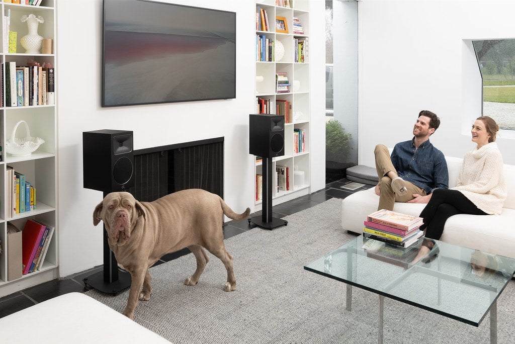 Martin Logan Motion Foundation B2