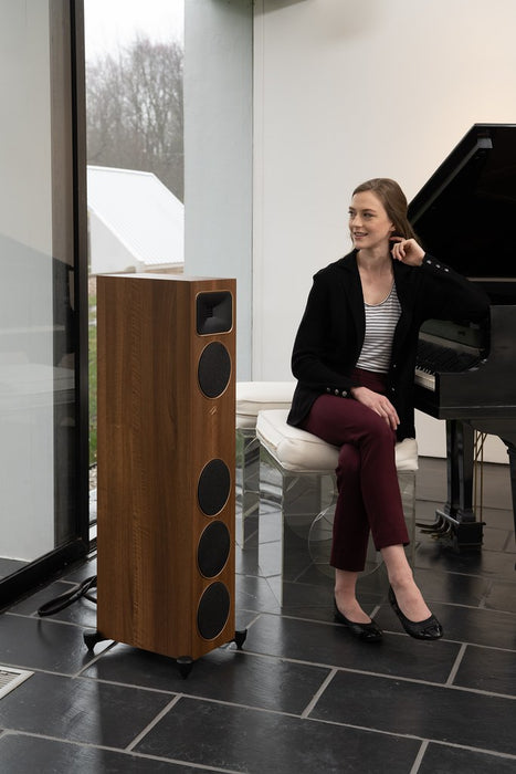 Martin Logan Motion Foundation F1