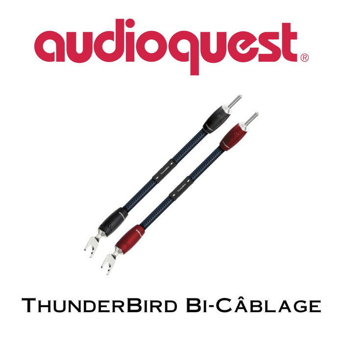 Audioquest ThunderBird Bi-Câblage Pulls avec 500 Series Connecteurs