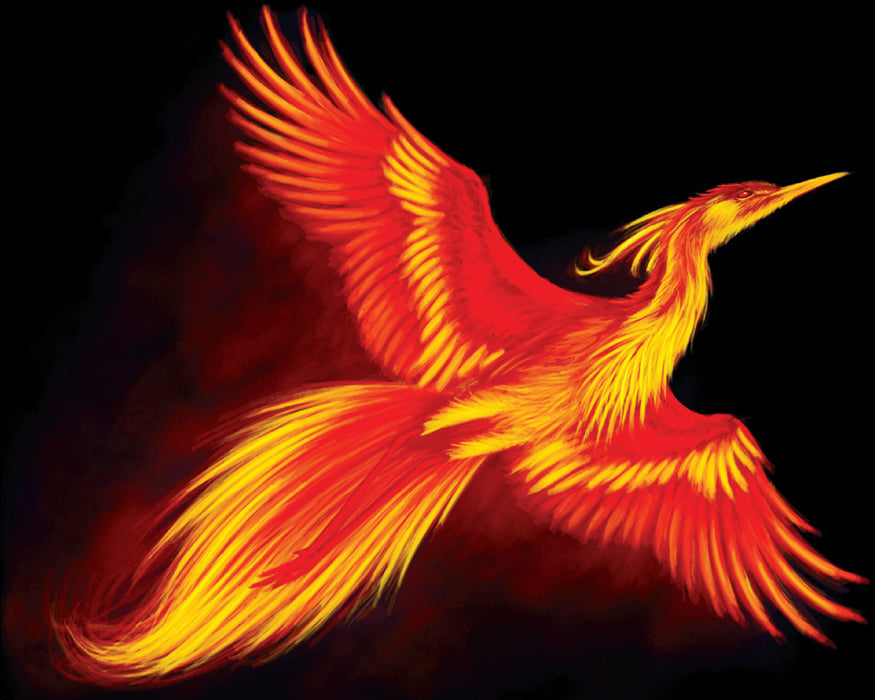 Audioquest Firebird - Câble audio RCA-RCA ◉ 72 V DBS (paire)