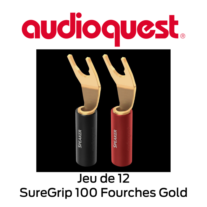 Audioquest - Connecteurs de câbles à haut-parleurs de type Fourches SureGrip 100 Fourches Gold