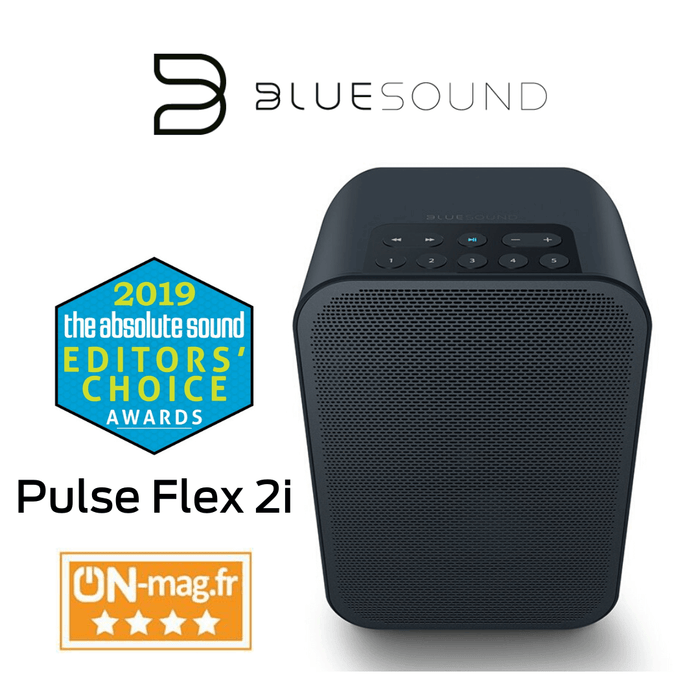 Bluesound - Haut-parleur portable multipièce sans fil Bluetooth Pulse Flex 2i