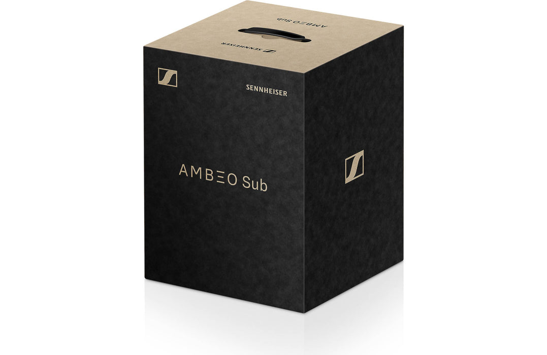 Sennheiser SW02 - Caisson de basses avec avec haut-parleur de graves de 8'' et 350W SW02