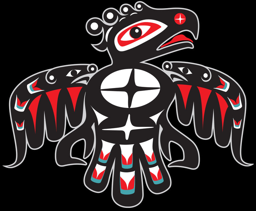 Audioquest Thunderbird - Câble d'interconnexions RCA-RCA Mâle (la paire)