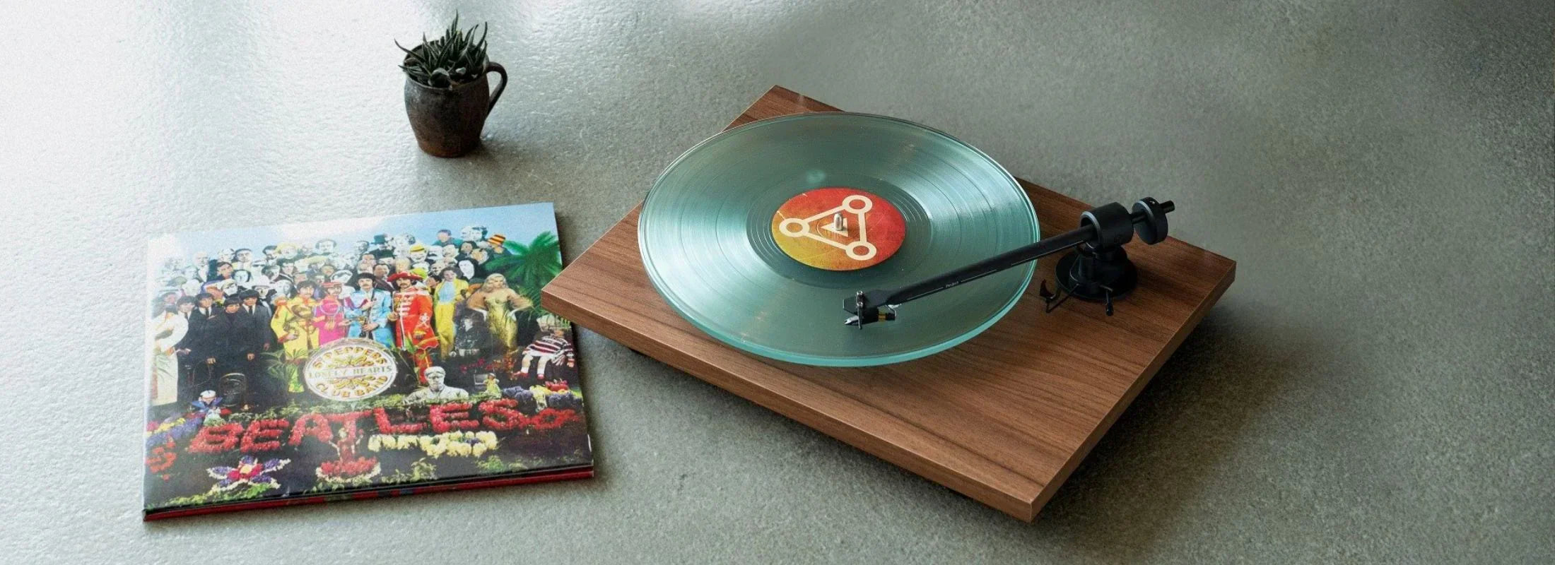 Le Vinyle : quand le naturel revient au galop!