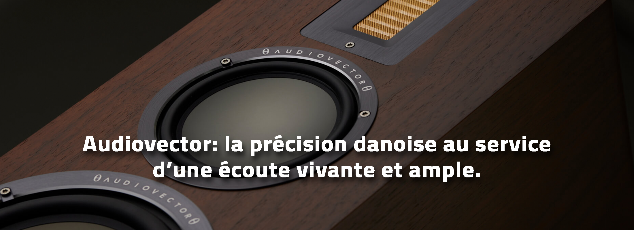 Audiovector: la précision danoise au service d’une écoute vivante et ample.