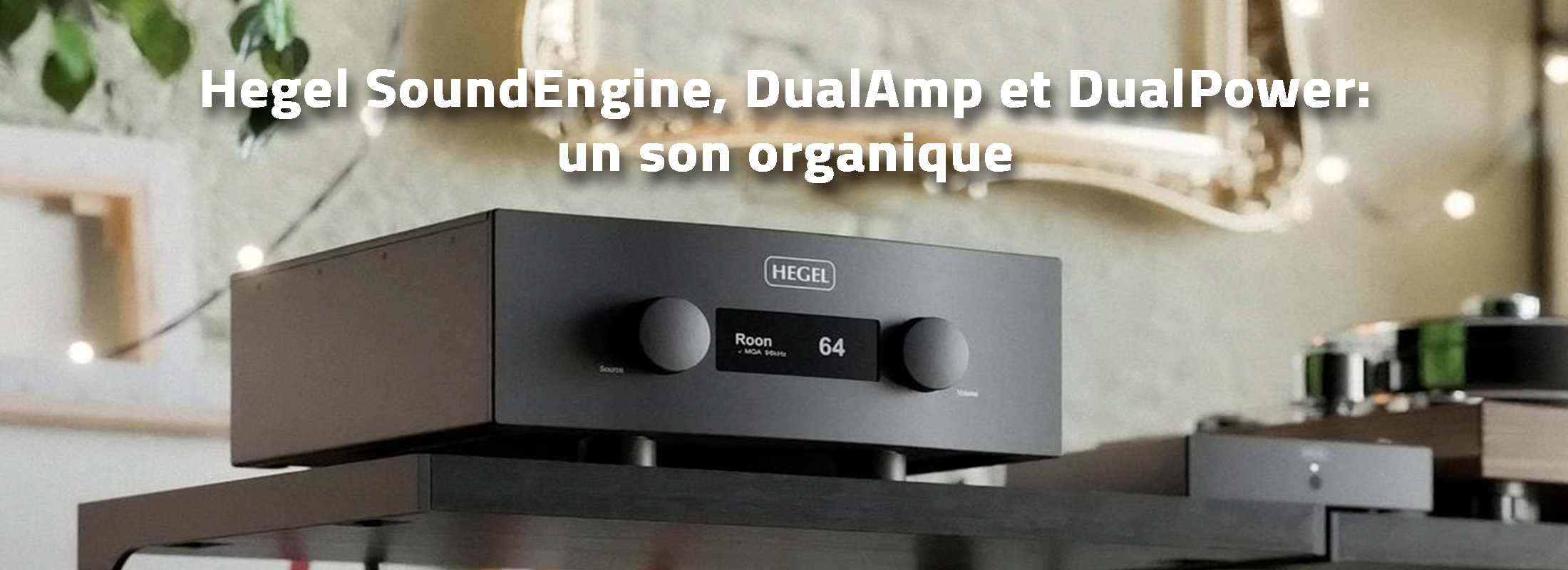 Hegel SoundEngine, DualAmp et DualPower: un son organique