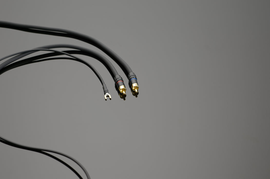 Transparent LINK RCA Phono | Câble d'interconnexion RCA pour table tournante