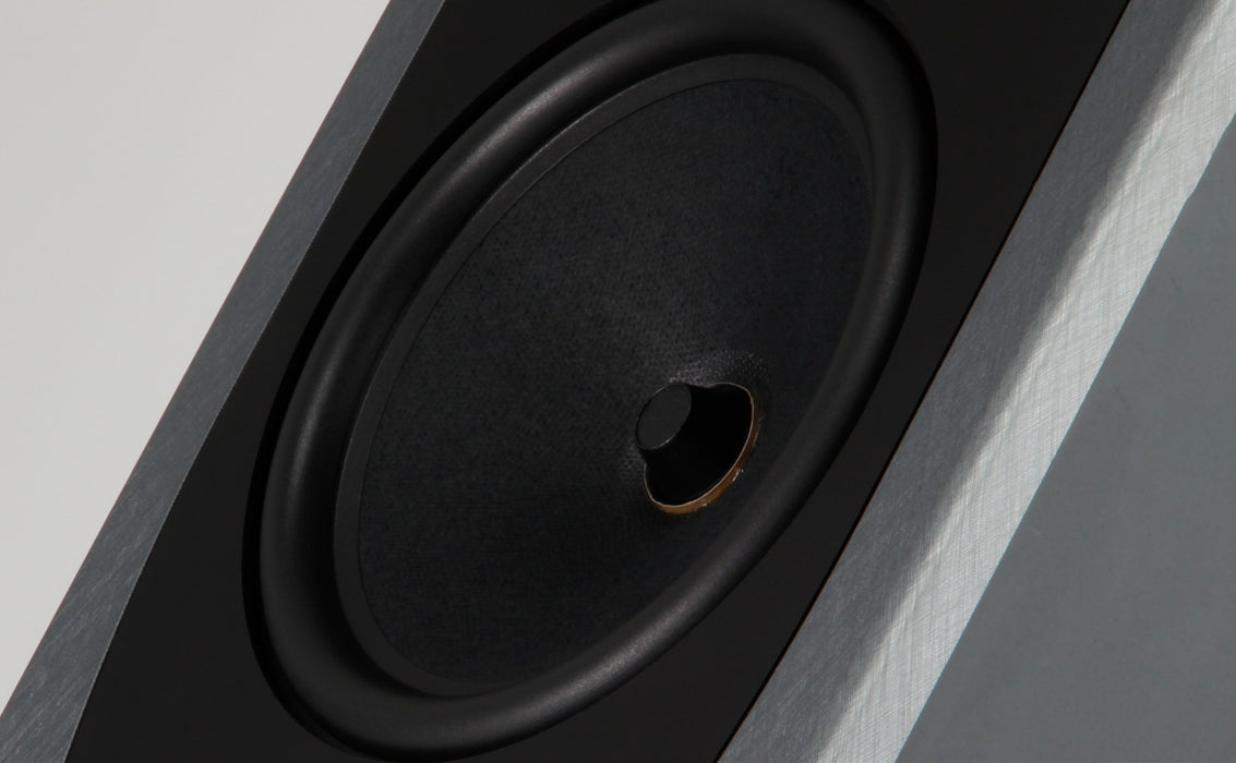 REGA AYA | Enceintes acoustiques de type colonne 2.5 voies