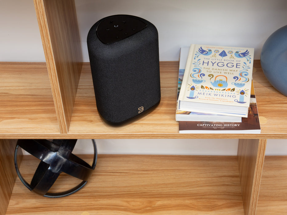 Bluesound PULSE FLEX | Enceinte Bluetooth compacte