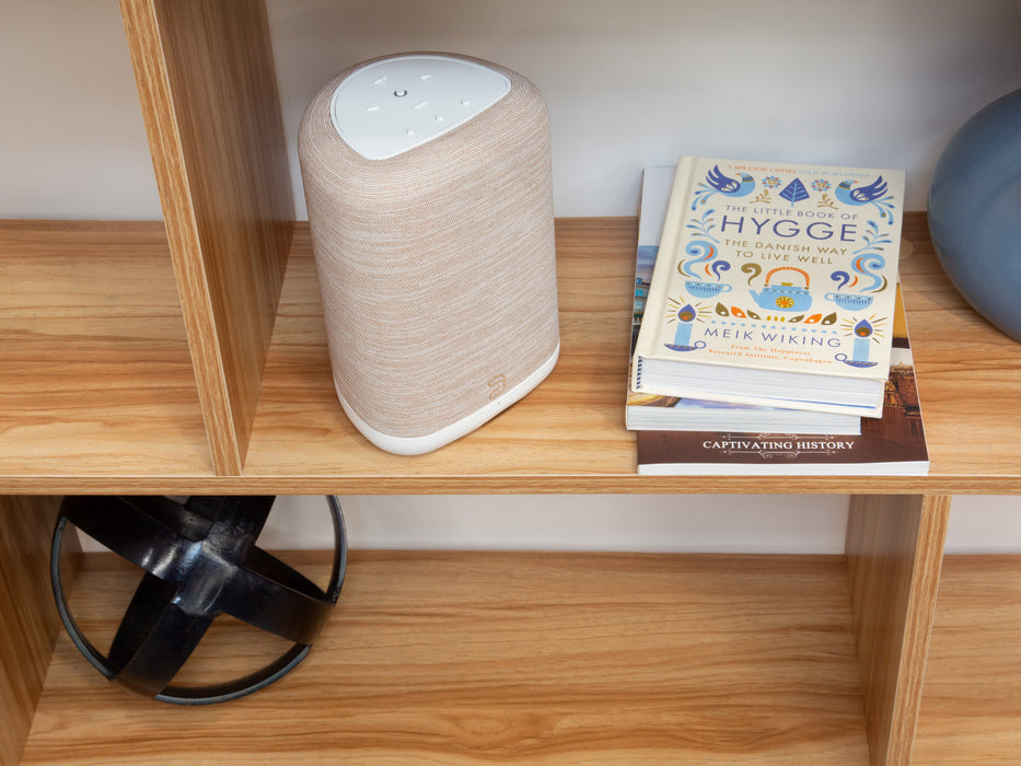 Bluesound PULSE FLEX | Enceinte Bluetooth compacte