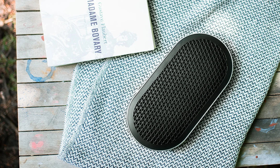 DALI KATCH G2 | Enceinte Bluetooth portable