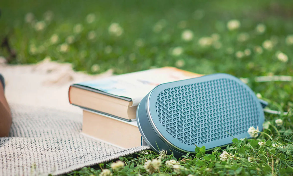 DALI KATCH G2 | Enceinte Bluetooth portable
