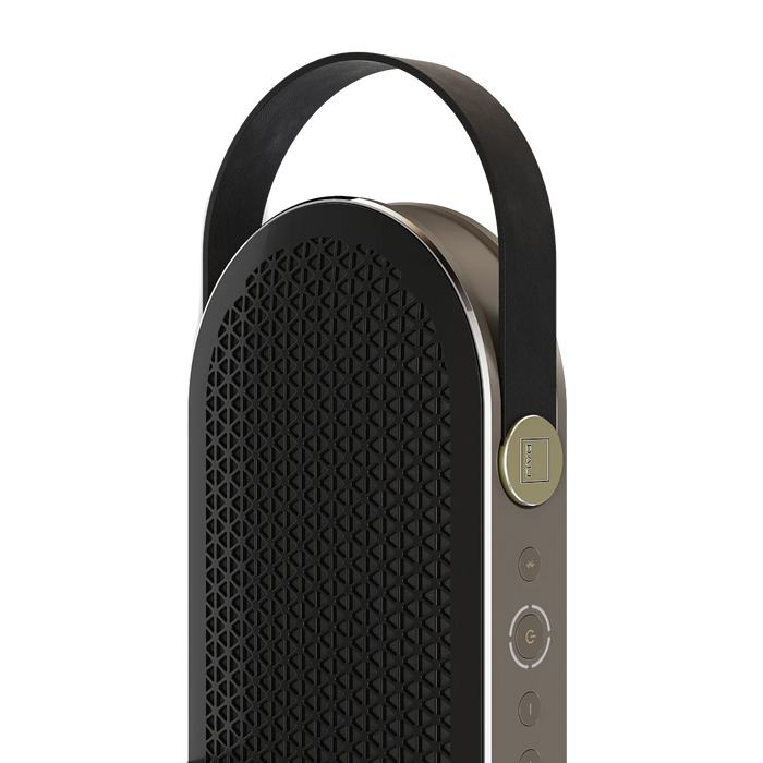 DALI KATCH G2 | Enceinte Bluetooth portable