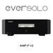 EverSolo AMP-F10: Amplificateur de puissance stéréo