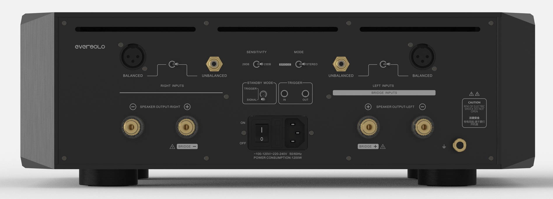 EverSolo AMP-F10 connectique