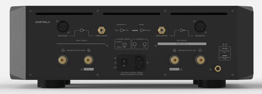 EverSolo AMP-F10 connectique