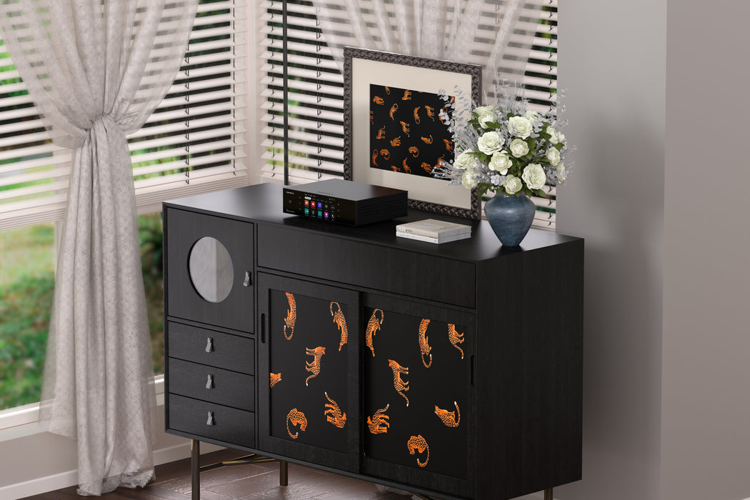 Eversolo T8 lifestyle 3