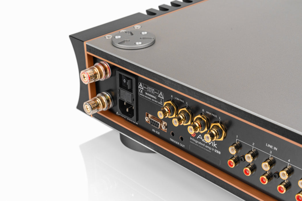 Aavik I-288 | Amplificateur stéréo intégré 300Watts/Canal Classe D