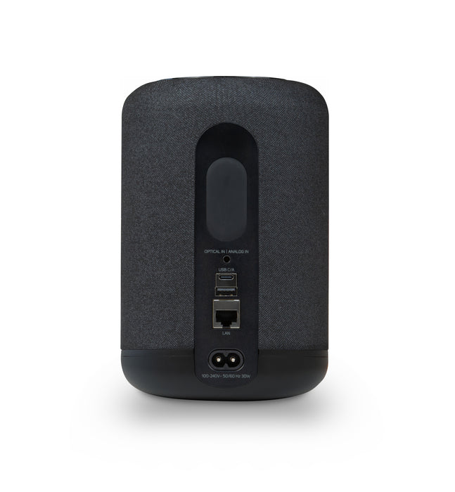 Bluesound PULSE FLEX | Enceinte Bluetooth compacte