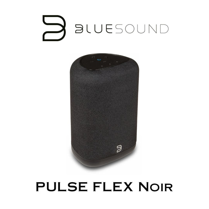 Bluesound PULSE FLEX | Enceinte Bluetooth compacte