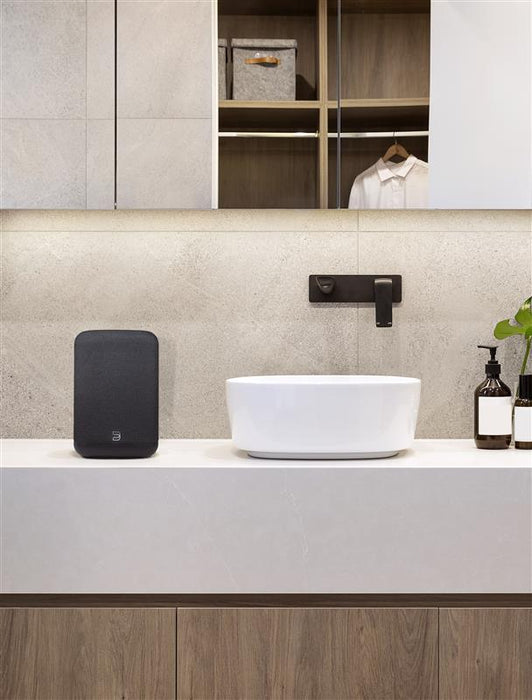 Bluesound PULSE FLEX | Enceinte Bluetooth compacte