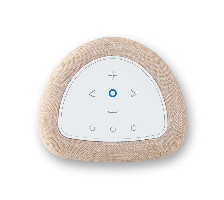 Bluesound PULSE FLEX | Enceinte Bluetooth compacte