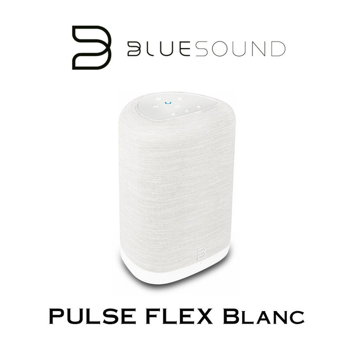 Bluesound PULSE FLEX | Enceinte Bluetooth compacte