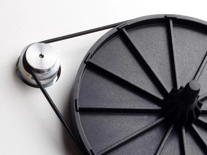 REGA | Courroie d'entraînement Advanced EBLT (Planar 1,2,3 & 6)