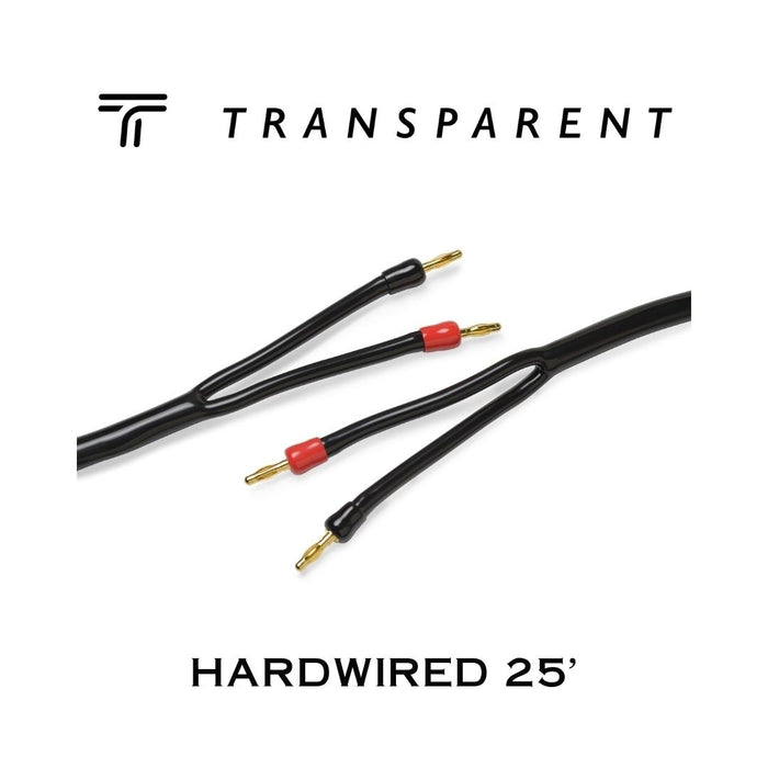 Transparent Hardwired | Câbles à haut-parleurs Bananes