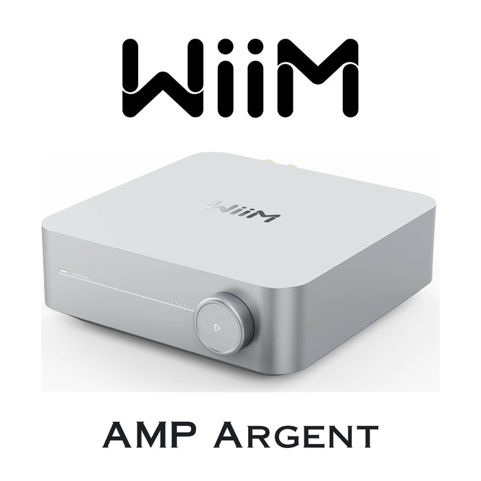 WIIM AMP