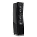 Enceintes colonne SVS Ultra Evolution Pinnacle – restitution sonore Hi-Fi ultra-précise pour système audio haut de gamme