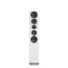 Enceintes colonne SVS Ultra Evolution Tower – audio Hi-Fi haut de gamme pour audiophiles exigeants