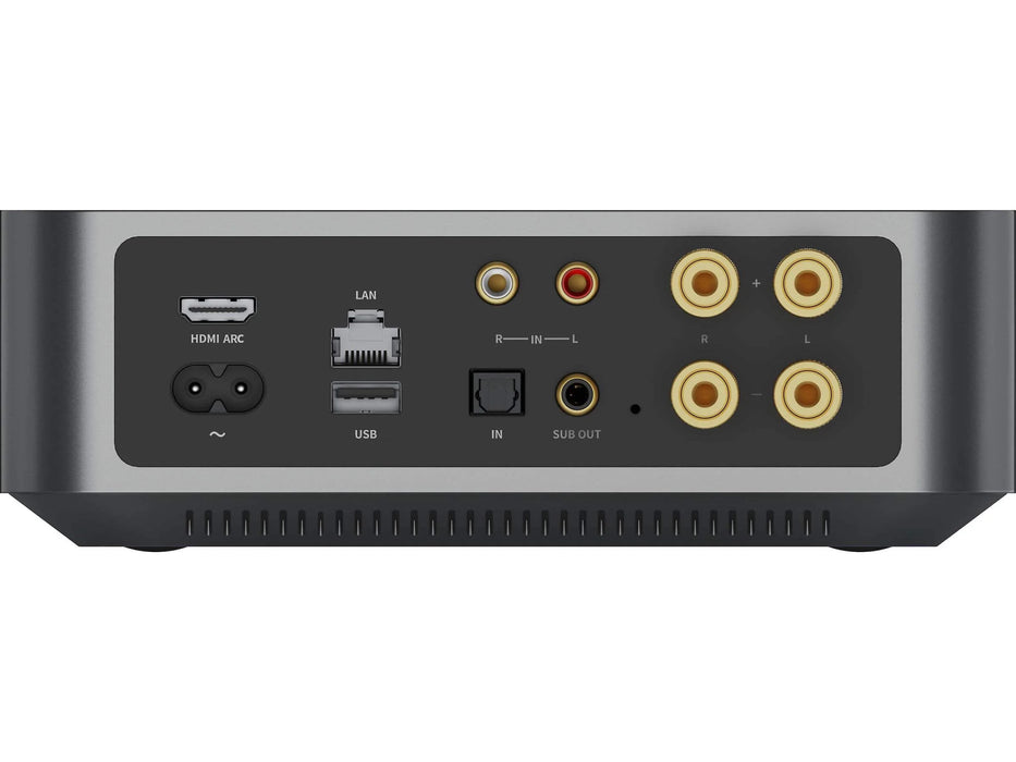 Wiim Amp Pro | Amplificateur de streaming multiroom 60Watts/Canal