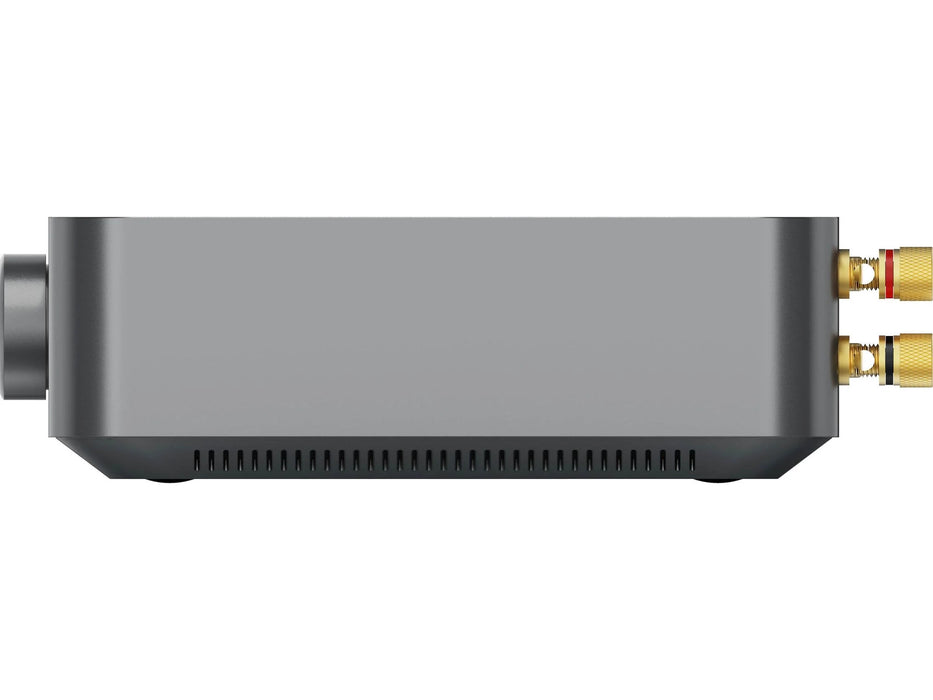 Wiim Amp Pro | Amplificateur de streaming multiroom 60Watts/Canal