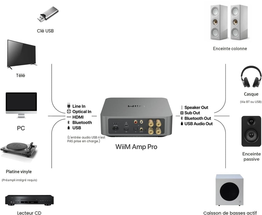 Wiim Amp Pro | Amplificateur de streaming multiroom 60Watts/Canal