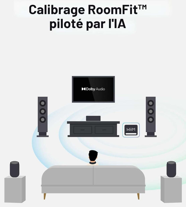 WiiMSUBPRO | Caisson de basses 250Watts, haut-parleur de graves 8'' (Noir)
