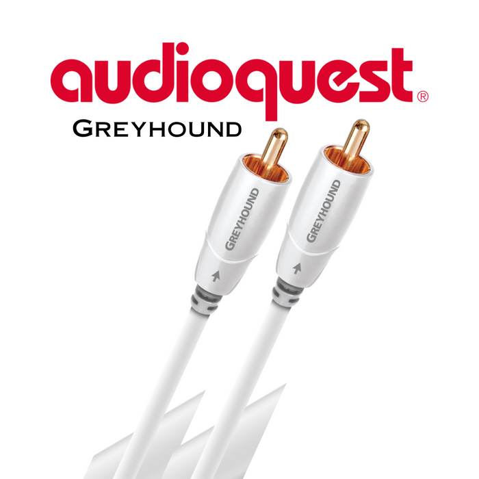 Audioquest Greyhound - Câble pour caisson de basses à 0.5% d'argent