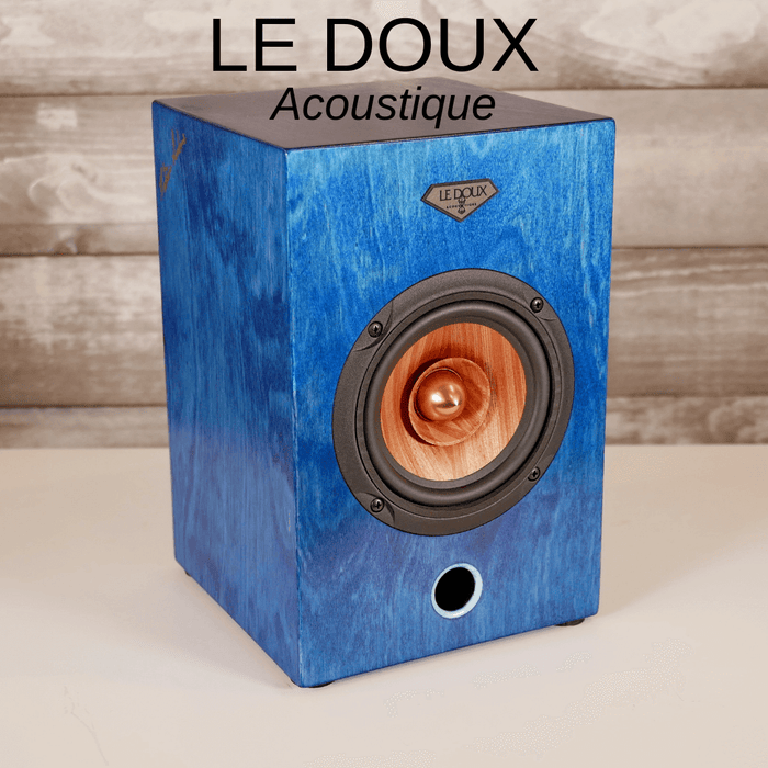 LE DOUX Acoustique Concert 4