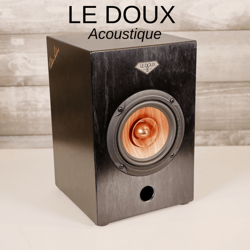 LE DOUX Acoustique Concert 5