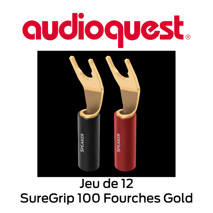 Audioquest SureGrip 100 Fourches Gold - Connecteurs à haut-parleurs